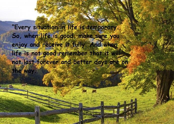 Enjoy the bliss