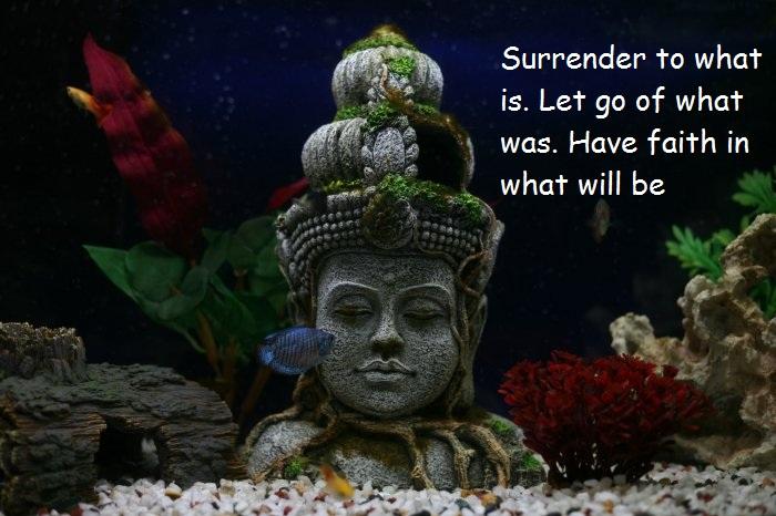 Mindfulness